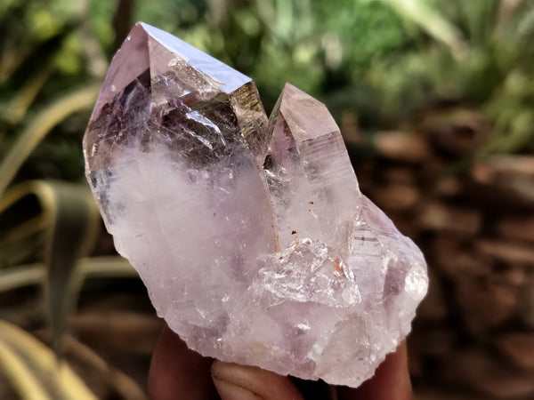 Natural Jacaranda Amethyst Single Quartz Crystal x 24 From Mumbwa, Zambia