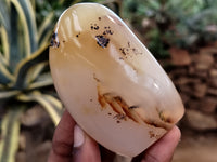 Polished Dendritic Agate Standing Free Forms x 4 From Madagascar