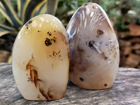 Polished Dendritic Agate Standing Free Forms x 4 From Madagascar