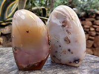 Polished Dendritic Agate Standing Free Forms x 4 From Madagascar