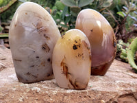 Polished Dendritic Agate Standing Free Forms x 4 From Madagascar