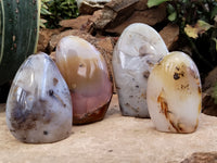 Polished Dendritic Agate Standing Free Forms x 4 From Madagascar