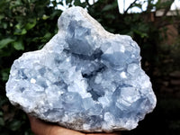 Natural Celestite Geode Specimens x 1 From Sakoany, Madagascar