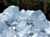 Natural Celestite Geode Specimens x 1 From Sakoany, Madagascar