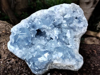 Natural Celestite Geode Specimens x 1 From Sakoany, Madagascar