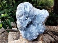 Natural Celestite Geode Specimens x 1 From Sakoany, Madagascar