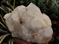 Natural Quartz Clusters x 5 from Madagascar