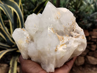 Natural Quartz Clusters x 5 from Madagascar