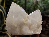 Natural Quartz Clusters x 5 from Madagascar