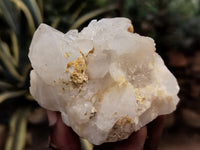 Natural Quartz Clusters x 5 from Madagascar