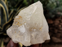 Natural Quartz Clusters x 5 from Madagascar