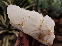 Natural Quartz Clusters x 5 from Madagascar