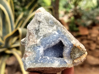 Natural Blue Lace Agate Geode Specimens x 12 From Nsanje, Malawi