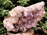 Natural Jacaranda Amethyst Quartz Cluster x 1 From Mumbwa, Zambia