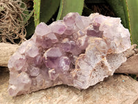 Natural Jacaranda Amethyst Quartz Cluster x 1 From Mumbwa, Zambia