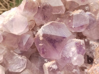 Natural Jacaranda Amethyst Quartz Cluster x 1 From Mumbwa, Zambia