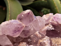 Natural Jacaranda Amethyst Quartz Cluster x 1 From Mumbwa, Zambia