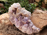 Natural Jacaranda Amethyst Quartz Cluster x 1 From Mumbwa, Zambia