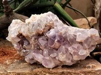 Natural Jacaranda Amethyst Quartz Cluster x 1 From Mumbwa, Zambia