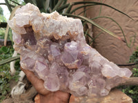 Natural Jacaranda Amethyst Quartz Cluster x 1 From Mumbwa, Zambia