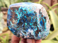 Polished Shattuckite, Azurite, Chrysocolla and Dioptase Free Forms x 4 From Congo