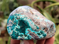 Polished Shattuckite, Azurite, Chrysocolla and Dioptase Free Forms x 4 From Congo