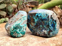 Polished Shattuckite, Azurite, Chrysocolla and Dioptase Free Forms x 4 From Congo