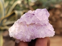 Natural Amethyst Spirit Quartz Clusters x 20 From Boekenhouthoek, South Africa