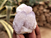 Natural Amethyst Spirit Quartz Clusters x 20 From Boekenhouthoek, South Africa