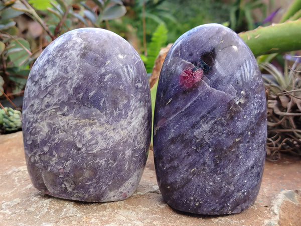 Polished Lepidolite with Pink Rubellite Standing Free Forms x 4 From Madagascar