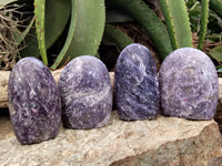 Polished Lepidolite with Pink Rubellite Standing Free Forms x 4 From Madagascar