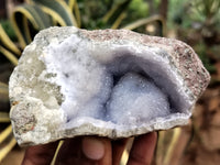 Natural Blue Lace Agate Geode Specimens x 6 From Nsanje, Malawi