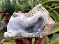 Natural Blue Lace Agate Geode Specimens x 3 From Nsanje, Malawi