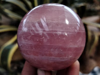 Polished Rose Quartz Spheres x 3 From Ambatondrazaka, Madagascar