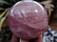 Polished Rose Quartz Spheres x 3 From Ambatondrazaka, Madagascar