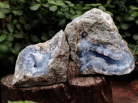 Natural Blue Lace Agate Geode Specimens x 6 From Nsanje, Malawi