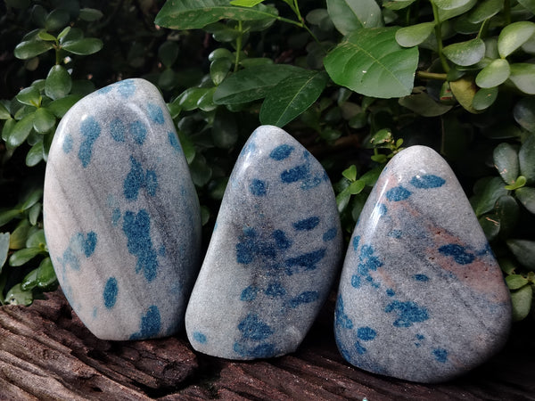 Polished Blue Spinel Spotted Quartz Standing Free Forms x 3 From Madagascar