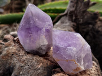 Natural Jacaranda Amethyst Single Quartz Crystals x 35 From Mumbwa, Zambia