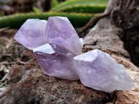 Natural Jacaranda Amethyst Single Quartz Crystals x 35 From Mumbwa, Zambia