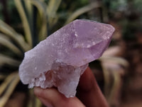 Natural Jacaranda Amethyst Single Quartz Crystals x 35 From Mumbwa, Zambia