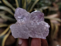 Natural Jacaranda Amethyst Single Quartz Crystals x 35 From Mumbwa, Zambia