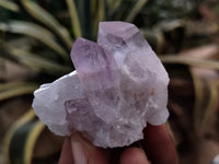 Natural Jacaranda Amethyst Single Quartz Crystals x 35 From Mumbwa, Zambia