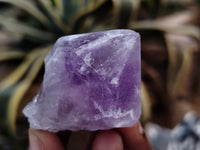 Natural Jacaranda Amethyst Single Quartz Crystals x 35 From Mumbwa, Zambia