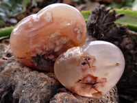 Polished Fossil Flower Agate Hearts x 6 From Antsahalova, Madagascar