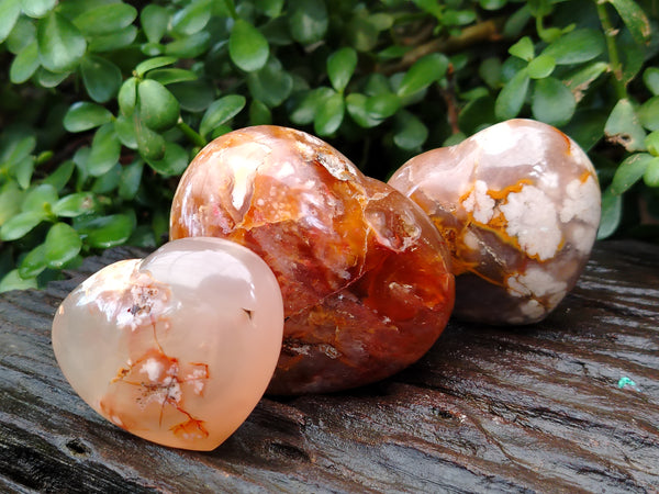 Polished Fossil Flower Agate Hearts x 6 From Antsahalova, Madagascar