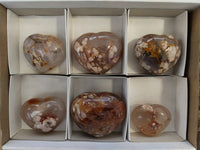 Polished Fossil Flower Agate Hearts x 6 From Antsahalova, Madagascar