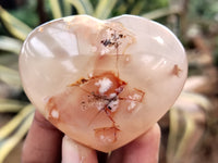 Polished Fossil Flower Agate Hearts x 6 From Antsahalova, Madagascar