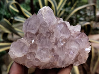 Natural Jacaranda Amethyst Single Quartz Crystals x 3 From Mumbwa, Zambia