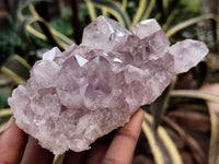 Natural Jacaranda Amethyst Single Quartz Crystals x 3 From Mumbwa, Zambia