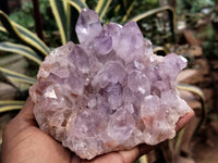 Natural Jacaranda Amethyst Single Quartz Crystals x 3 From Mumbwa, Zambia